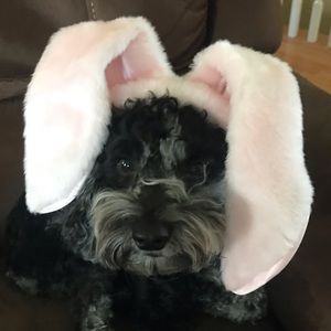 Meet your Posher, Ruth